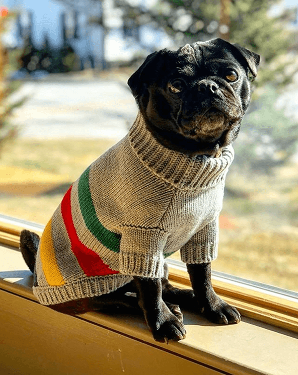 Hudson’s Bay