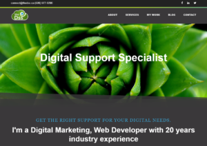THE DSS - Top Best 30 White Label SEO Firm 2024